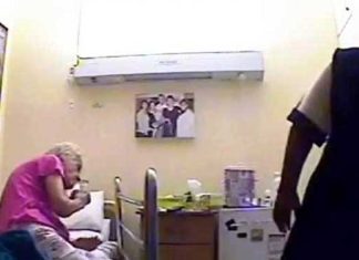 caretaker-84-year-granny