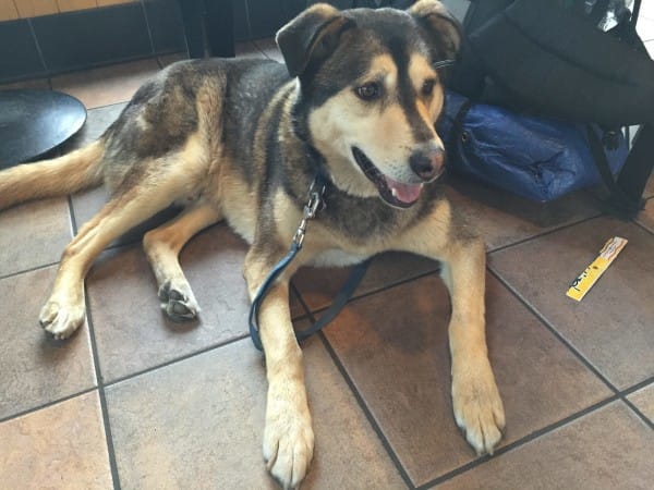 Homeless man doggy