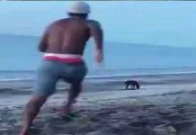beach-karma