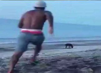 beach-karma
