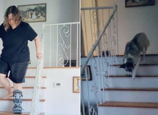 dog-copies-mom-stairs