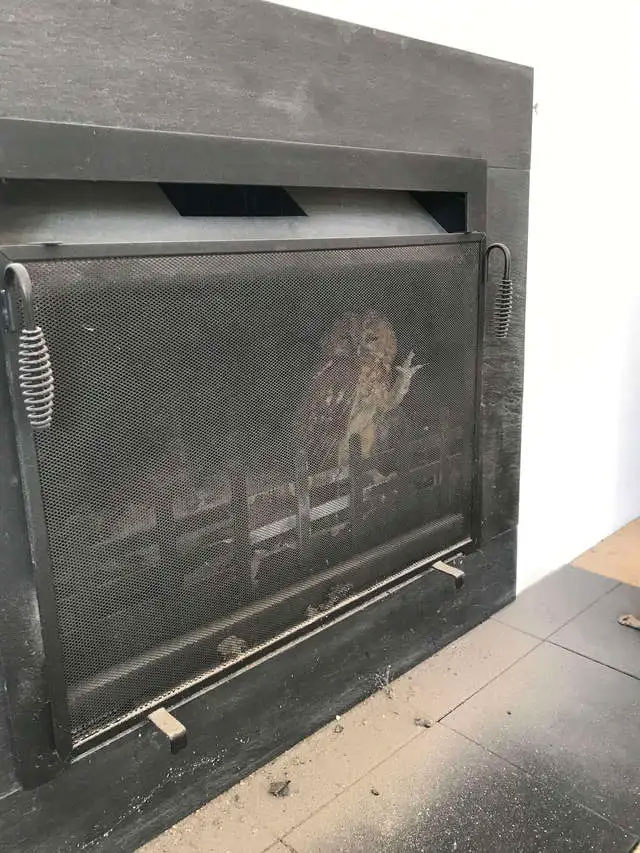 fireplace-waving-owl