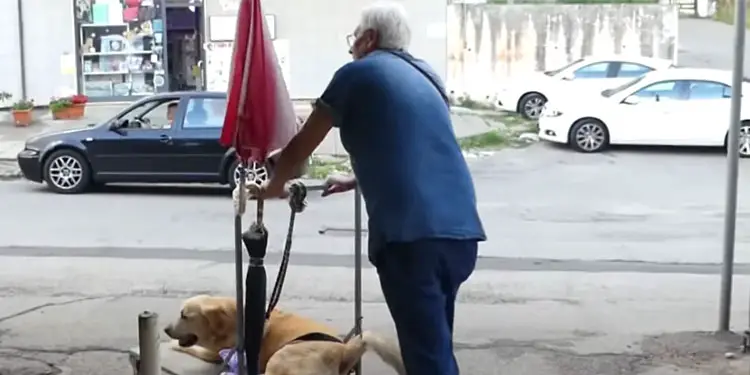 man-carts-around-disabled-dog