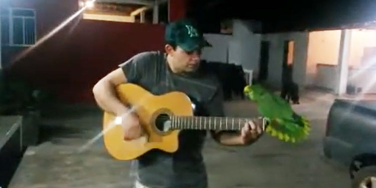 parrot-man-sing-together