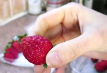 strawberries-fresh-for-weeks