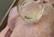 thanksgiving-turkey-chow