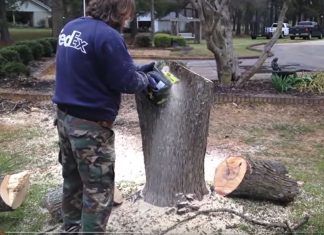 ugly-stump-turned-into-gnome-house