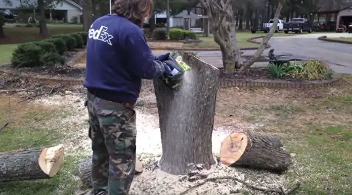 ugly-stump-turned-into-gnome-house