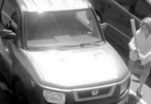 woman-smashes-windshield