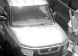 woman-smashes-windshield