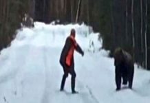 attacking-bear-scares