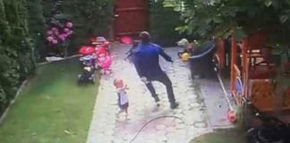 dad-saves-daughter-attack