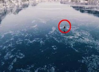 frozen_sea_skating