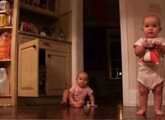marshmallows-babys