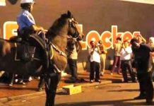 police-horse-dance-moves