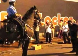 police-horse-dance-moves