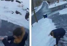 salt-on-driveway-tryings-hilariouse