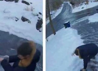 salt-on-driveway-tryings-hilariouse