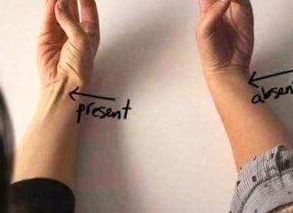 tendon-on-body-evolution