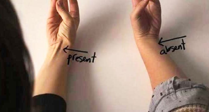tendon-on-body-evolution