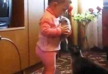 toddler-reaction-on-kitten-rescue