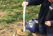 tree-stump-removing