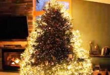 xmas-tree-lights