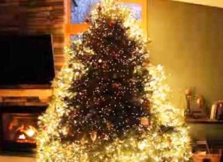 xmas-tree-lights