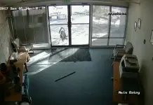 suspect is goat