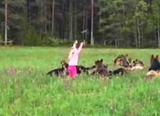 pernille-and-gsds