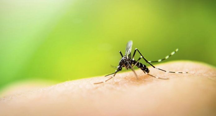 Why mosquitoes bite some people 1-33 screenshot
