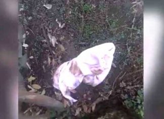 abandoned-infant