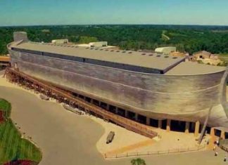 ark-park-built