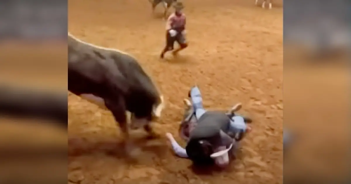 bullrider gets saved by dad