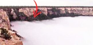 grand-canyon-rare-weather