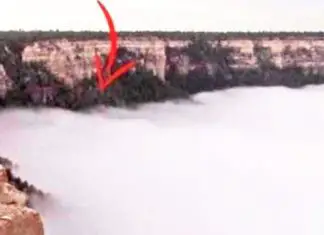 grand-canyon-rare-weather