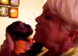 grandma-monkey