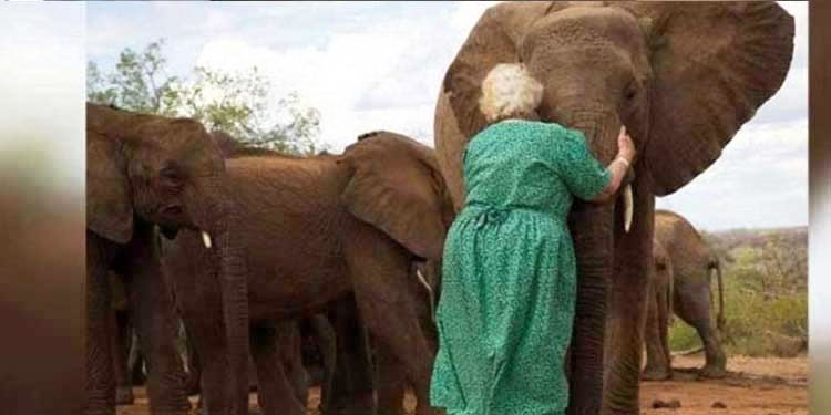 grandma-raising-baby-elephants