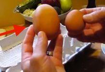huge egg