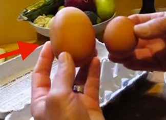huge egg