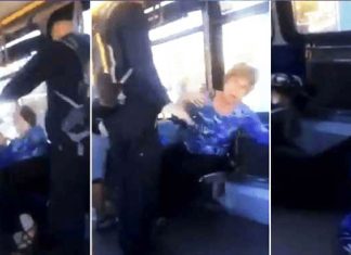 old-woman-gets-revenge