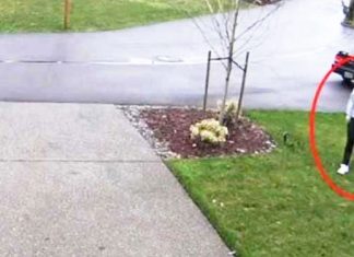 package-steal-karma