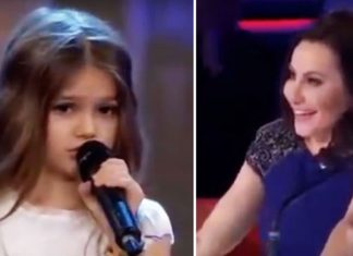 polly-bgt