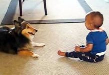 pumpkkin-playing-with-baby