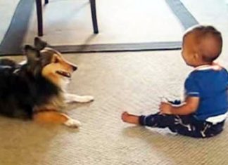 pumpkkin-playing-with-baby