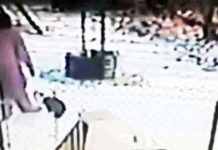 woman-kicks-cat-instant-karma