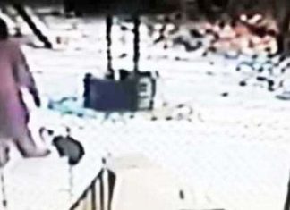 woman-kicks-cat-instant-karma