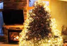 xmas-tree-lights