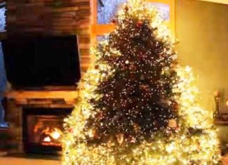 xmas-tree-lights