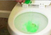 dish-soat-into-toilet